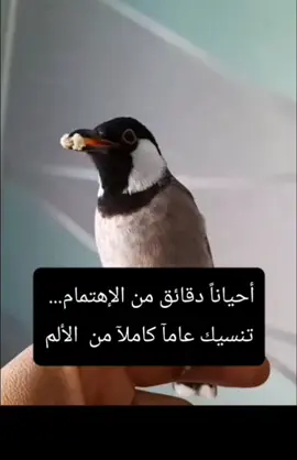 الإهتمام شيء لا يطلب