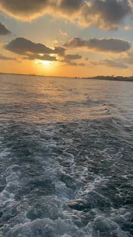 #سماحة_العشق #🖤🥀 