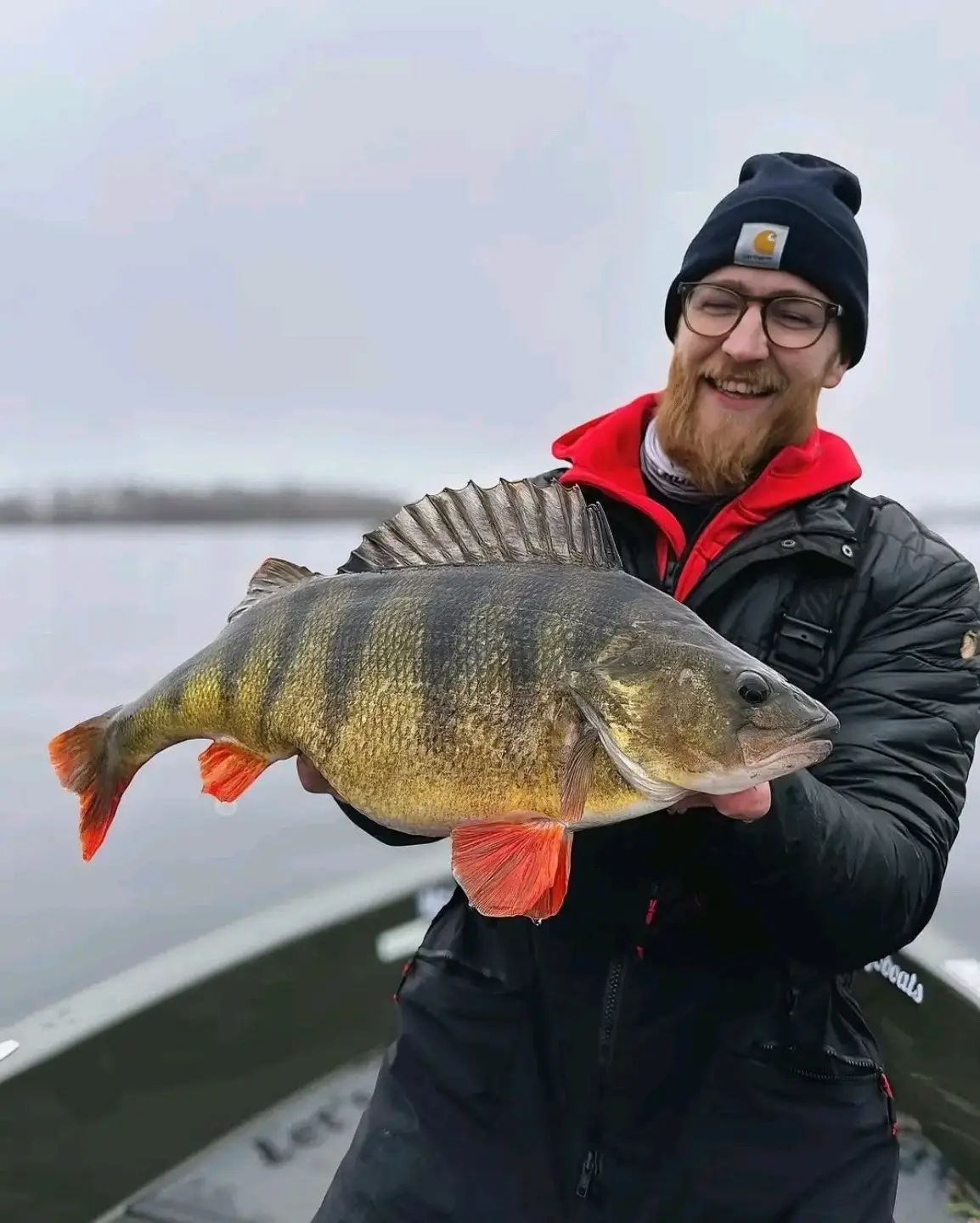 One of the biggest lake perch anglers have ever caught! 🎣😍 Weighing over 3 kg. This beauty can't resist the Megabass Vision Oneten +1.