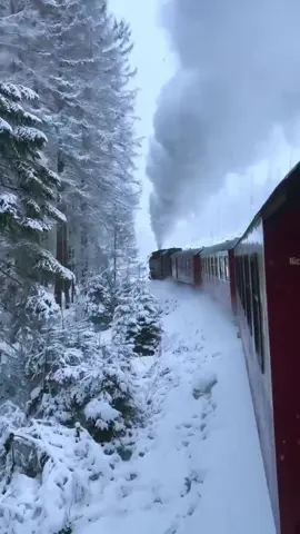 Уже скоро🚂🎄🌨️