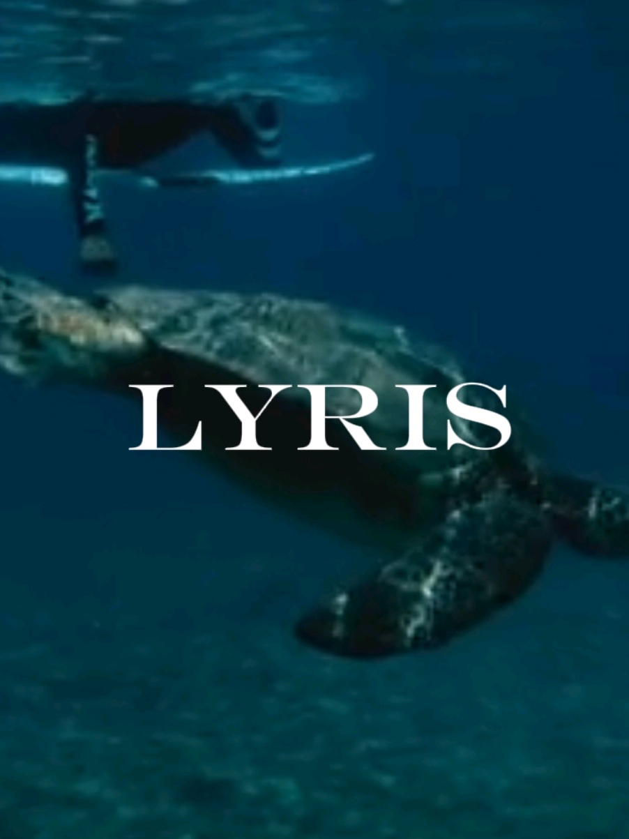 #natiruts #reggae #surf #lyrics #viral 
