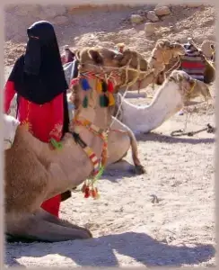 #اكسبلورexplore 