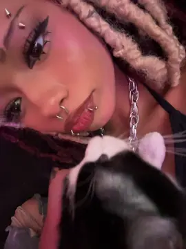 #KITTY 