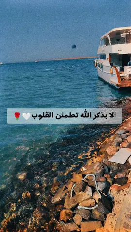 #اولي لك فاولي 🤍💙🌹