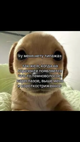 я псина ес че #переписка #fypシ #рекомендации #pyfツ #rek 
