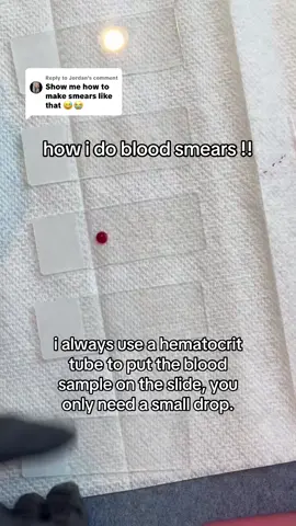 Replying to @Jordan  this is how i was taught, let me know if yall have other tips #vetmed #bloodsmear #dextermorgan 