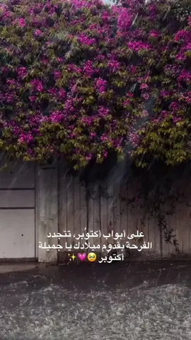 أحلا شهر بالسنة 🥹❤️‍🔥.                                    #october #اكتوبر #حب #اكسبلور #الشعب_الصيني_ماله_حل😂😂 
