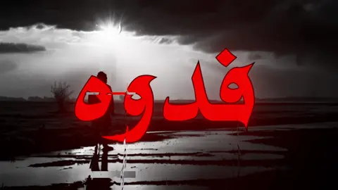 ارجع حبي فدوه !!#اغاني #اغاني_عراقيه #foryoupage #song #lyrics 
