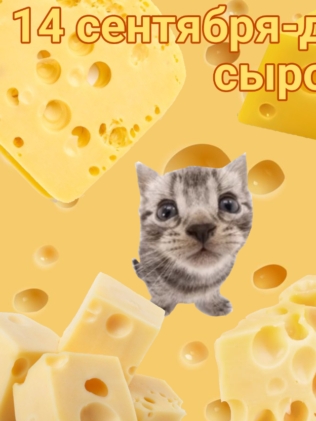 #14сентября #миленький #сырочек  ТГК: https://t.me/bitboit