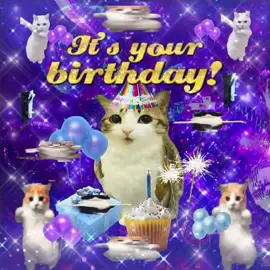 BABY ITS YOUR BIRTHDAY 😸 make yours at talkingpets.ai🪅🎉🎈🎊 #meowl #catsmeme #brainrot #catsoftiktok #memecat 