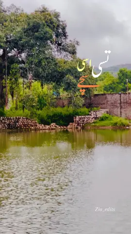 Tusi Changge Ao 🙌🏻😖 . . . . . . . . . . . . . . #bollywoodsongs #aesthetic #a esthet i c #slowed #khadijamsud 