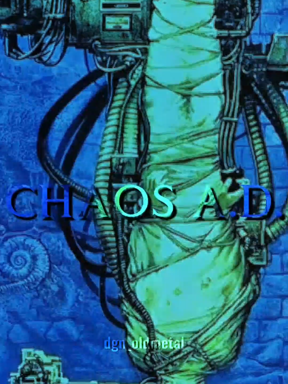 A fase groove do Sepultura! 🤟🔥 . . . #sepultura #chaosad #groovemetal #maxcavalera #metaledit