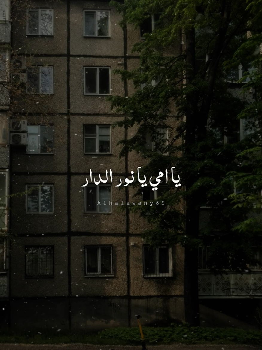 يا امي يا نور الدار 💙✨ #فارس_قطرية #شعر #fyp #امي #تصميم_الحلواني🖤🎤 