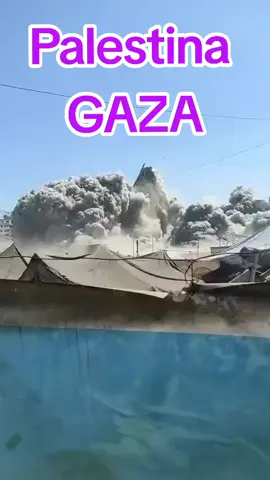 #nkri #gaza #ijazahpalsu #palestina_indonesia #aniesbaswedan 