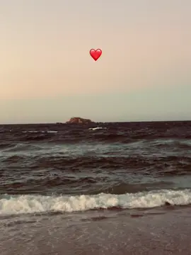 #امين #algeria #foryou #flypシ #الله #tik_tok #❤️ #2025 #💍 #🤍 #🕊️ 