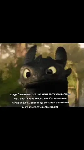 джимбро поймут #качалка #gymrat #белок #спортзал #летняяарка