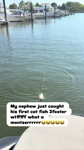#washingtondc #hugecatfish #fishinglife #firstfish #reelitin 