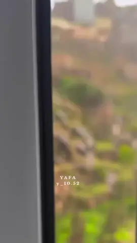 💚💚💚