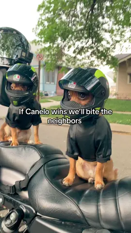 I’m sure we will film that too #canelo #caneloalvarez #crawford #boxing 