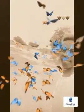 #VivaCutApp 