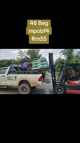 Terima Kasih kepada En Rizal dari Felda Sri Ledang Dapatkan baja MPOBF4 dpd Kami.#dienagro #solusibajatanamananda #bajasawit #mpobf4premium 