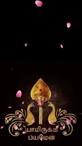 #fypシ  #ommuruganthunai🙏🦚  #kanthanthunai🙏 😇  #velvelvetrivel🙏🦚  #likethevideo❤️❤️❤️ 