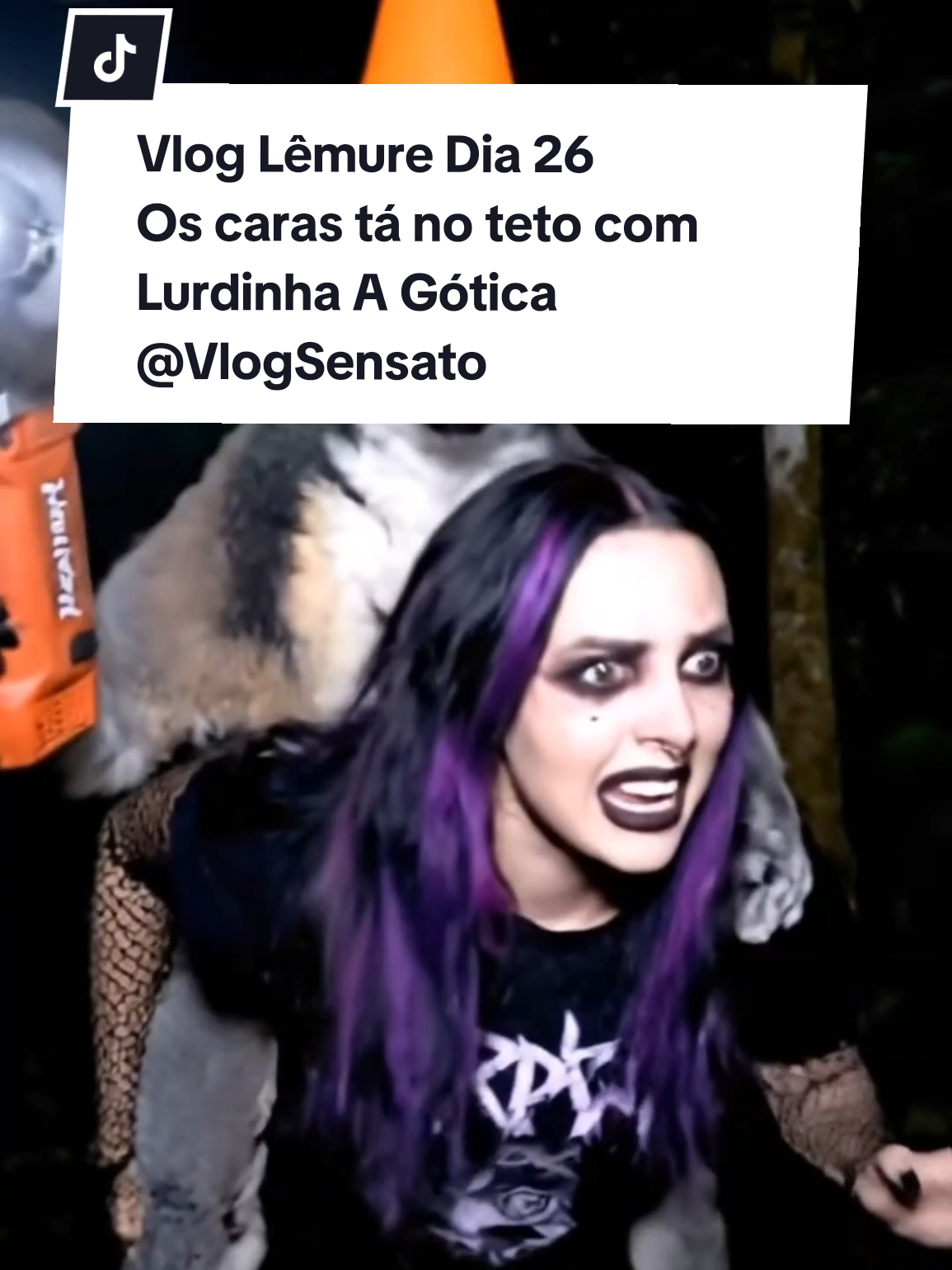 Os caras tão no teto querendo minha makita @Vlog Sensato  #fyp #creatorsearchinsights #makita