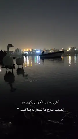 #هدوء_الليل #نهر_دجلة #💙 #🤍 