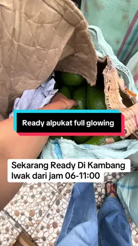 #alpukatmentega #fyp #sumateraselatan  #palembangtiktok  #buahsegar              