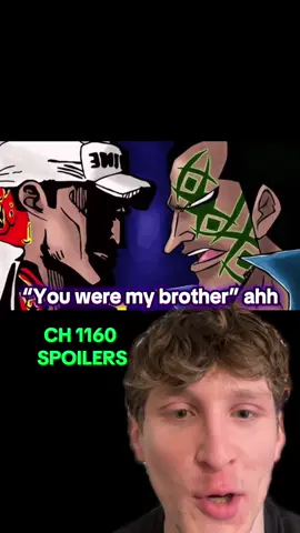 Please watch the video before bringing up akainus vivre card🙏🏻 #fyp #akainu #foryoupage #bogard #franky #godvalley #imu #gunko #zoro #shanks #mihawk #dragon #akainu #kizaru #vegapunk #egghead#greenscreen 