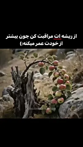 • مـ