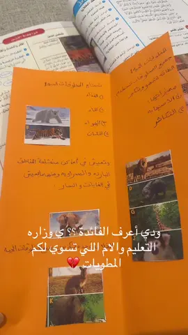 #مطويات_مدرسية #مطويات #تصاميم # اطفال 