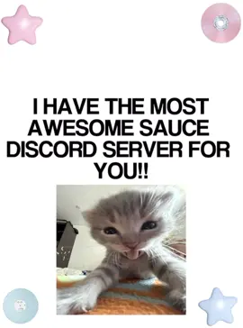 JOINN!!! EVERYONE IS WELCOME!! #discord #server #discordserver #friends #online @𓏵        silv 