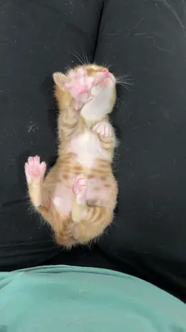 Sweet dreams 🥰