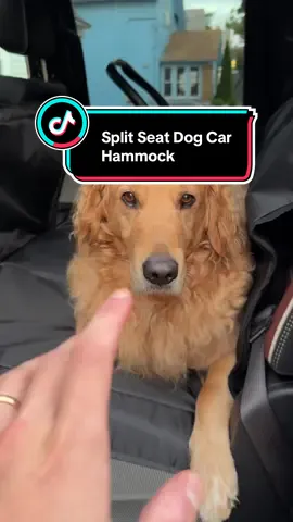 there are so many uses for a split seat dog car hammock like this one: a baby, groceries, luggage, the list goes one. check it out today! 🚗🦮 #dogsoftiktok #caraccessories #babiesoftiktok #growingfamily #carhacks 