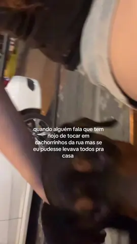 queria ser milionária pra comprar uma fazenda e pegar todos os dog da rua e levar pra mim #foryou #foryoupage #vaiprofycaramba #fyp #viral 