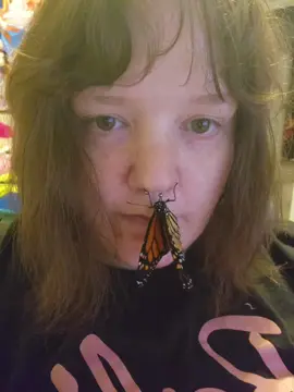 #butterfly 
