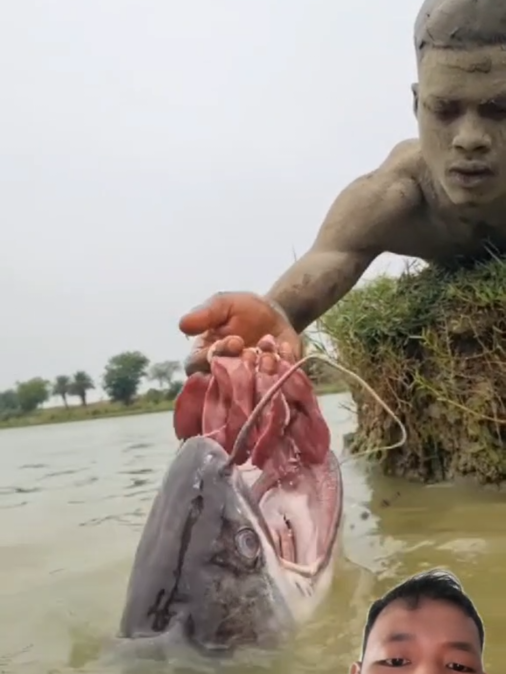 mancing ikan pake tangan gaess#pyf #mancing 