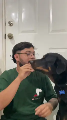 Ningún perro fue sobornado para este video 😂