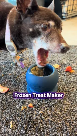 Freezebone, customize your own frozen dog treats #freezebone #dogtreats #dogs #chihuahua #dogsoftiktok 