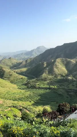 No trending sound or filter needed 🧘🏽‍♀️ 🇪🇷 also the chicken 🐓 was a paid actor.                                                    #eritrea#eritreantiktok#eritreantiktok🇪🇷🇪🇷habesha#eritreantiktoker#eritreanhighlands 