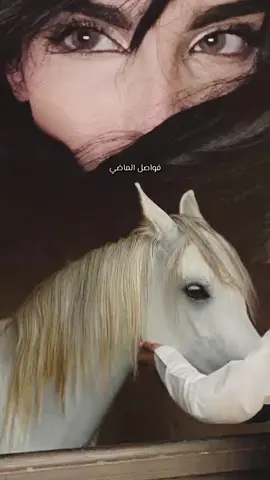 ذوق