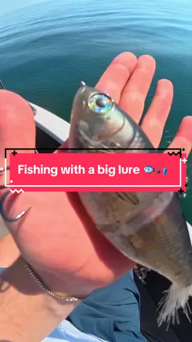 I Fished for a Monster 🐟🎣 @Joey Bass @Garcia bros #fishing #fishingvideos #capcut 