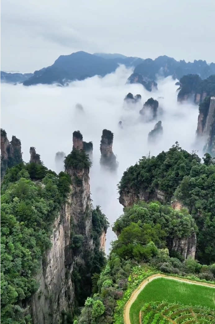 Zhangjiajie #china #chinatravel #chinatravel 
