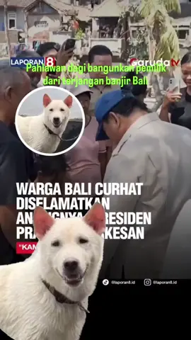 #pahlawananjing#fyppppppppppppppppppppppp #dog#anjing #foryoupage❤️❤️ 