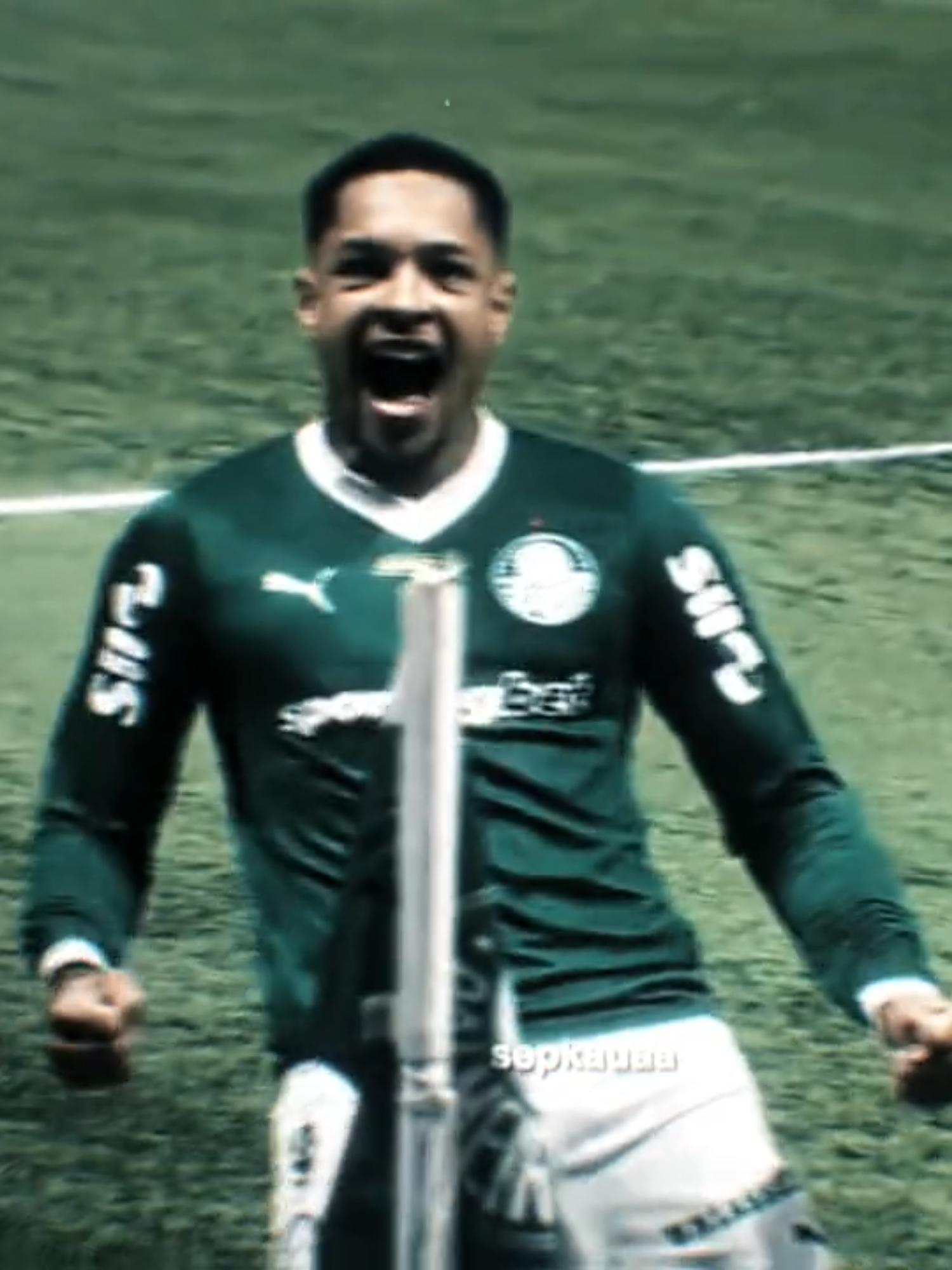 HAT-TIGRE HOJE, ANOTA +3 PONTOS!!! #palmeiras #edit #fyp #palmeirasedit #vitorroque #viral #xyzbca