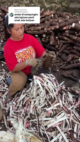 Membalas @indahtutikrahayu memang dari awal buka usaha niatnya biar buka lapangan pekerjaan buat masyarakat sekitar dan aku tidak mematok yg kerja harus yg muda sehat semua kalangan boleh mau sepuh (tua) muda mama muda bahkan sambil momong anak juga boleh kok 