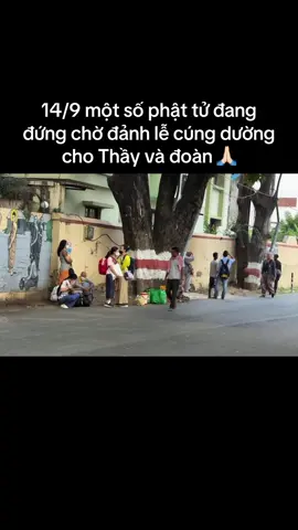 14/9 một số phật tử đang đứng chờ đảnh lễ cúng dường cho Thầy và đoàn 🙏🏻#longkadaily #thayminhtuemoinhat #thichminhtue #thayminhtuehomnay #suminhtuemoinhat 