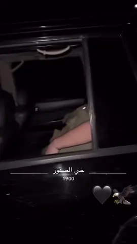 #liked_الاردن#Soqor_F700 #الصقور#Top#حمرالشام🦅🇯🇴
