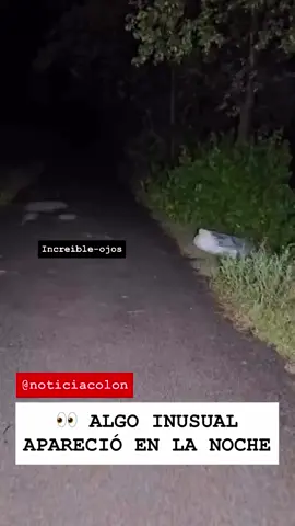 Algo extraño apareció en plena carretera de noche… ¿Tú qué opinas? 😳👀 @noticiacolon @noticiacolon_